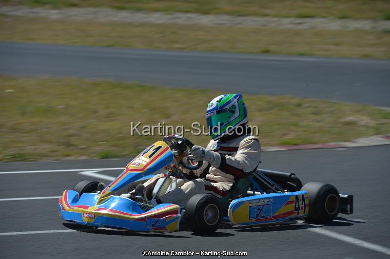 DSC_8348.jpg