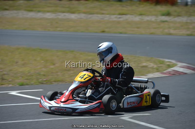 DSC_8358.jpg