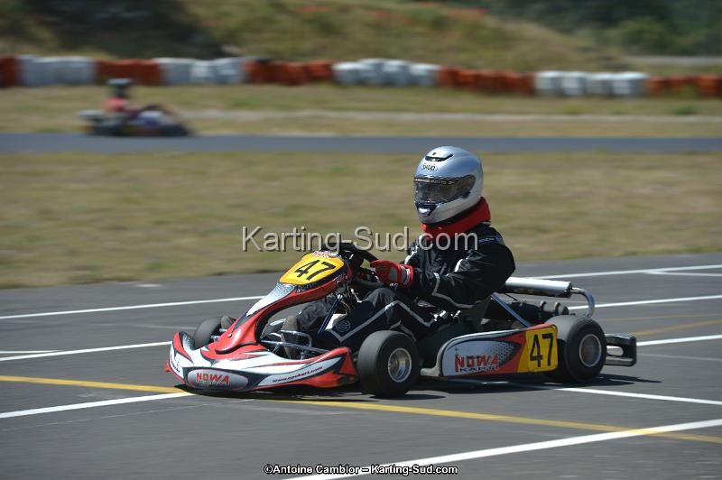 DSC_8374.jpg
