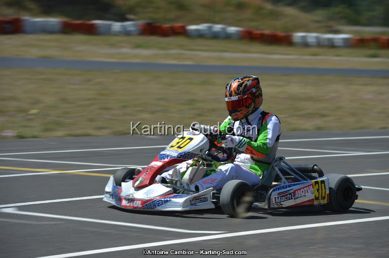 DSC_8379.jpg