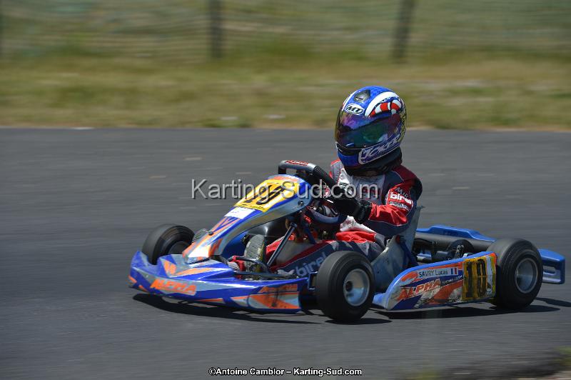DSC_8490.jpg
