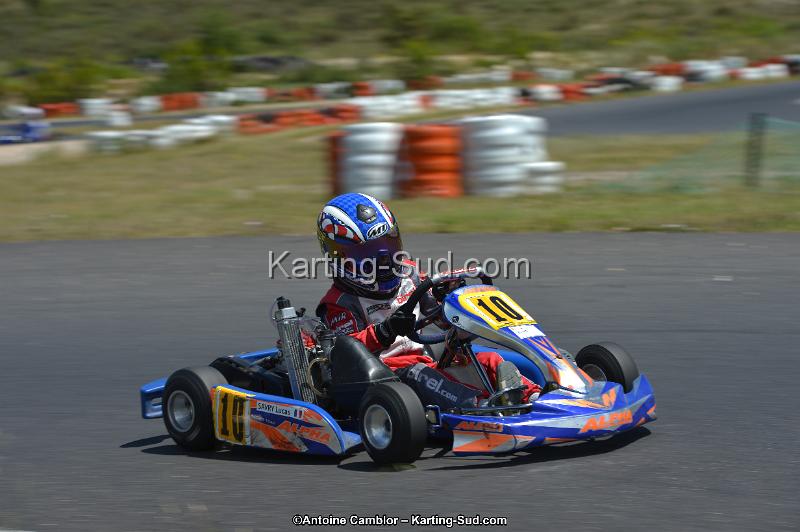 DSC_8517.jpg