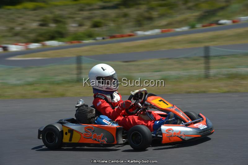 DSC_8519.jpg