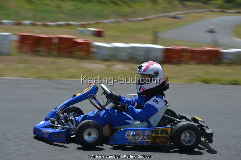 DSC_8528.jpg