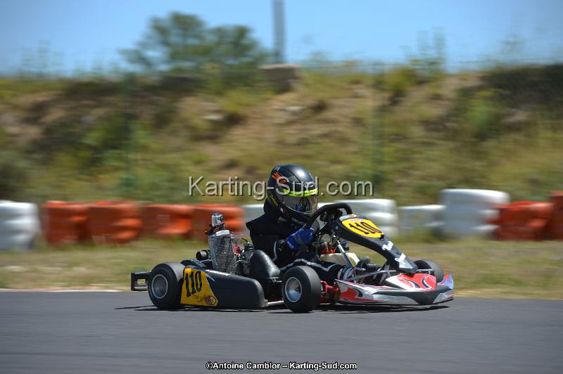 DSC_8544.jpg