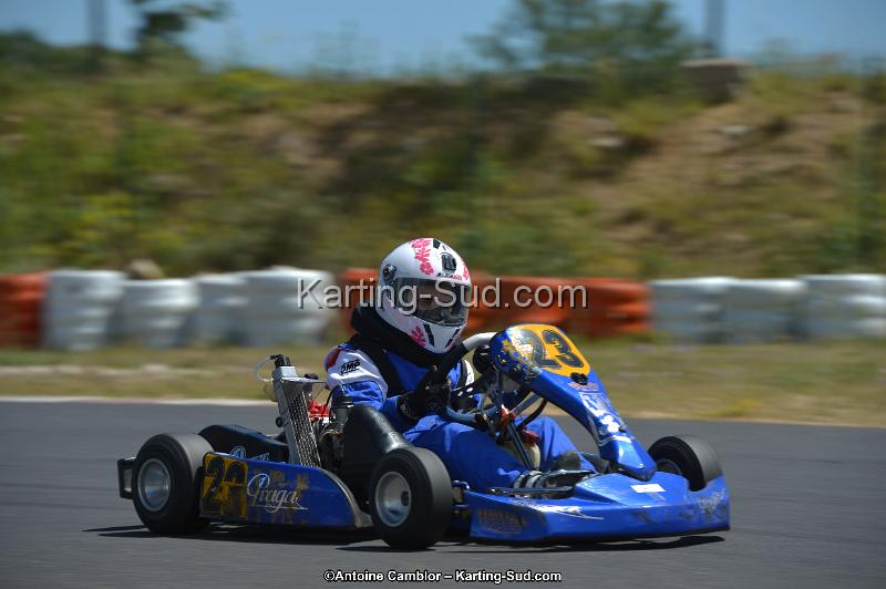 DSC_8549.jpg