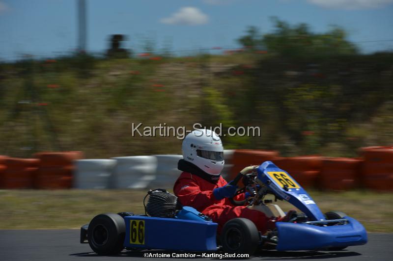 DSC_8554.jpg
