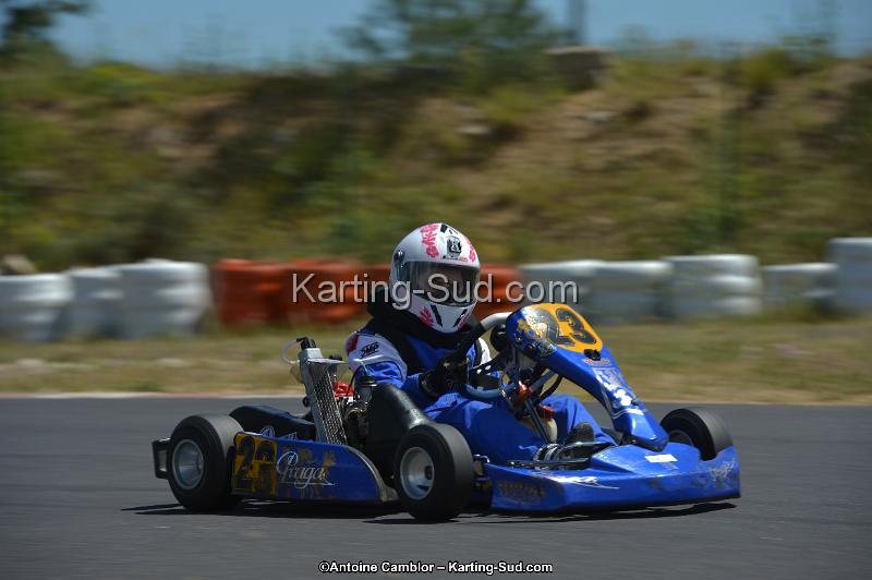 DSC_8557.jpg