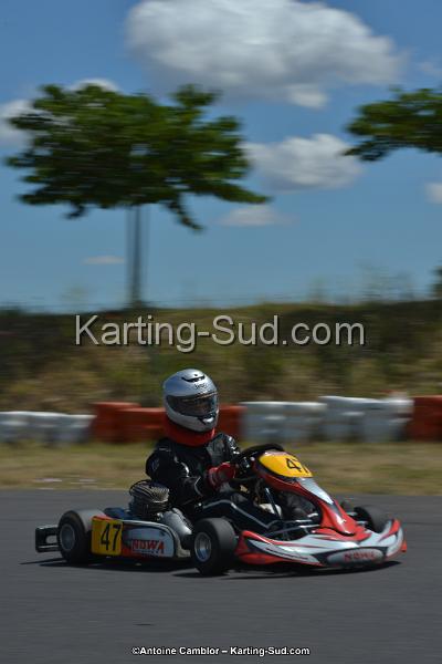 DSC_8591.jpg