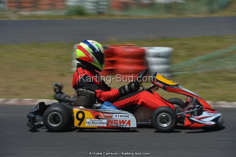 DSC_8603.jpg