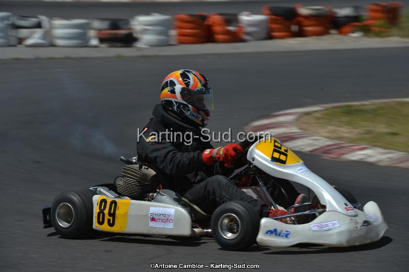 DSC_8608.jpg