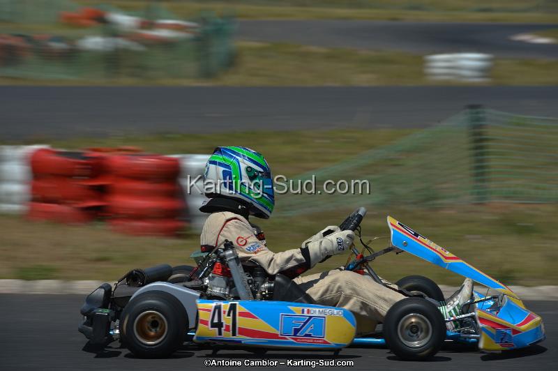 DSC_8610.jpg