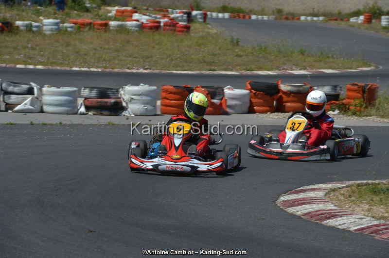 DSC_8615.jpg