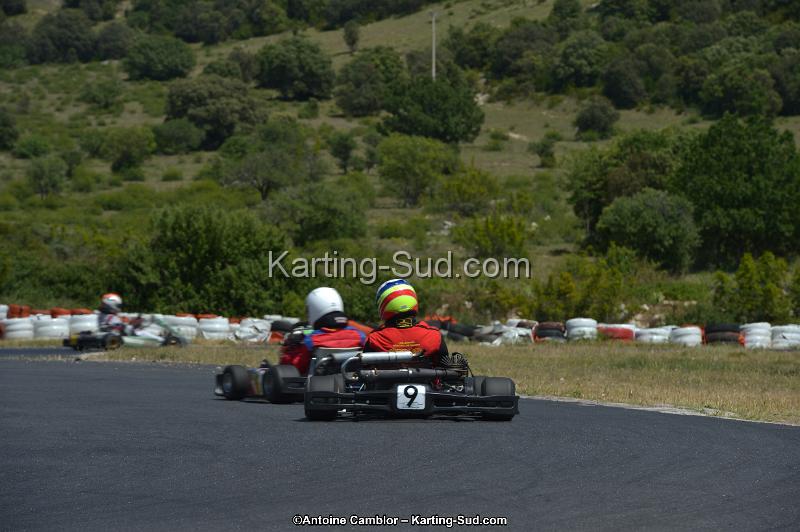 DSC_8625.jpg