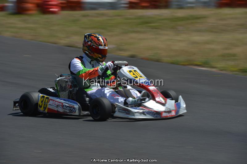 DSC_8630.jpg