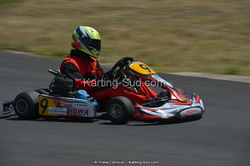 DSC_8633.jpg
