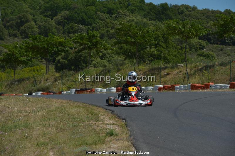 DSC_8634.jpg