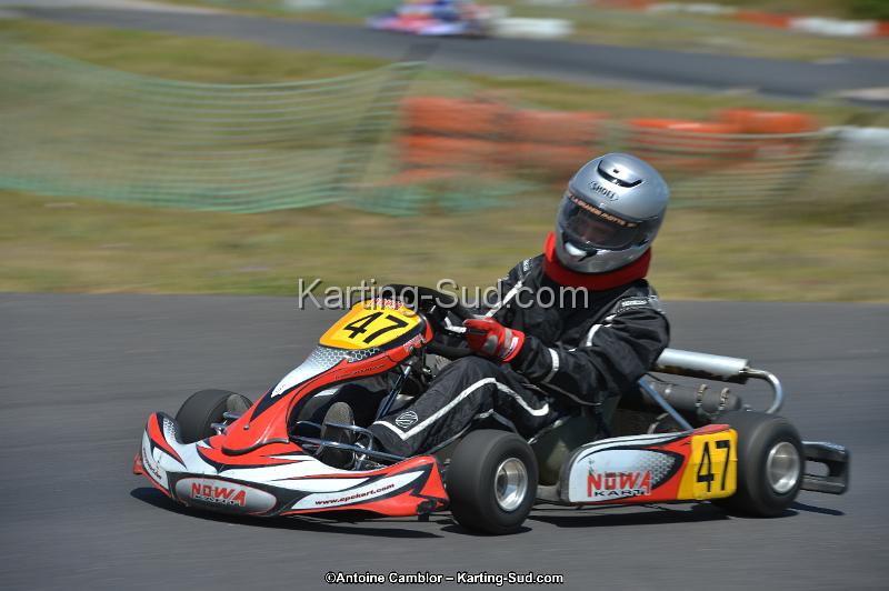 DSC_8654.jpg