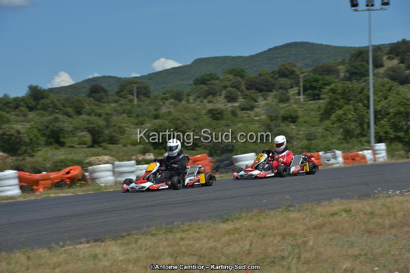 DSC_8662.jpg