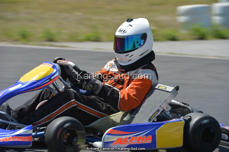 DSC_8724.jpg