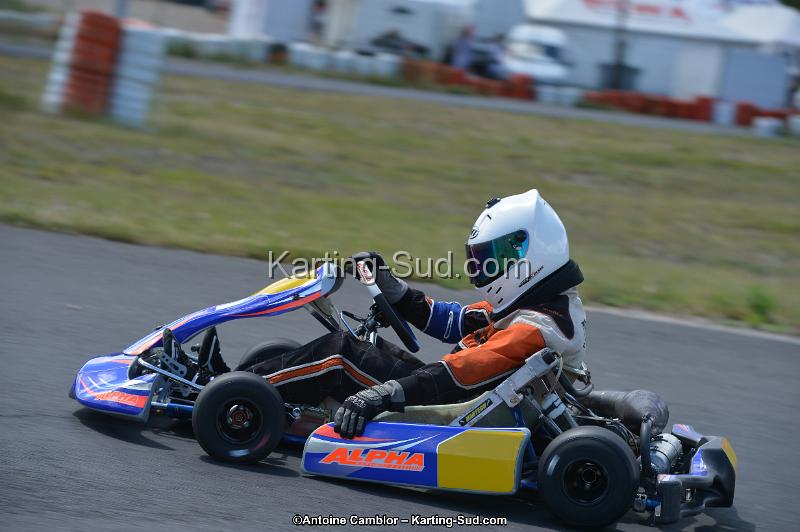DSC_8728.jpg