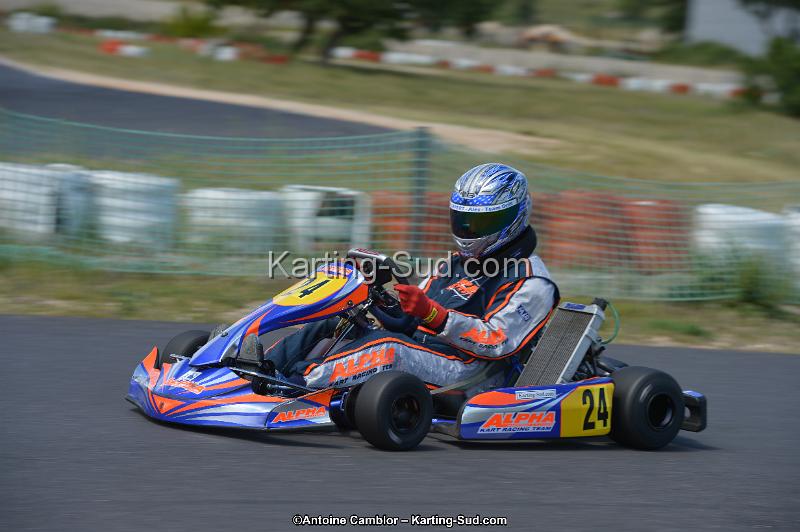 DSC_8737.jpg