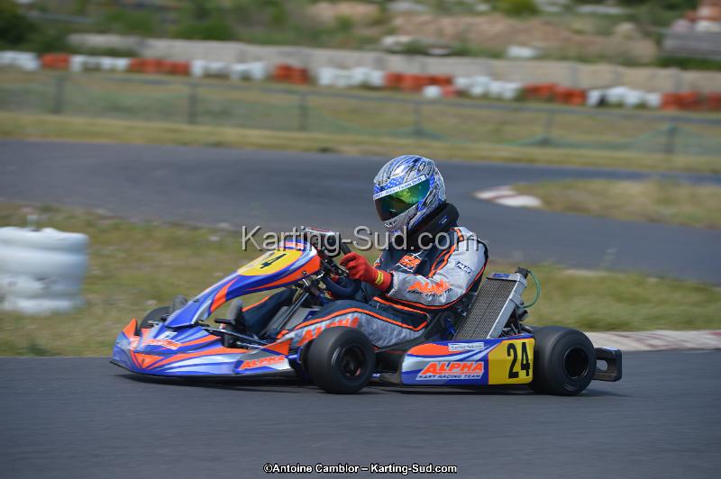 DSC_8740.jpg