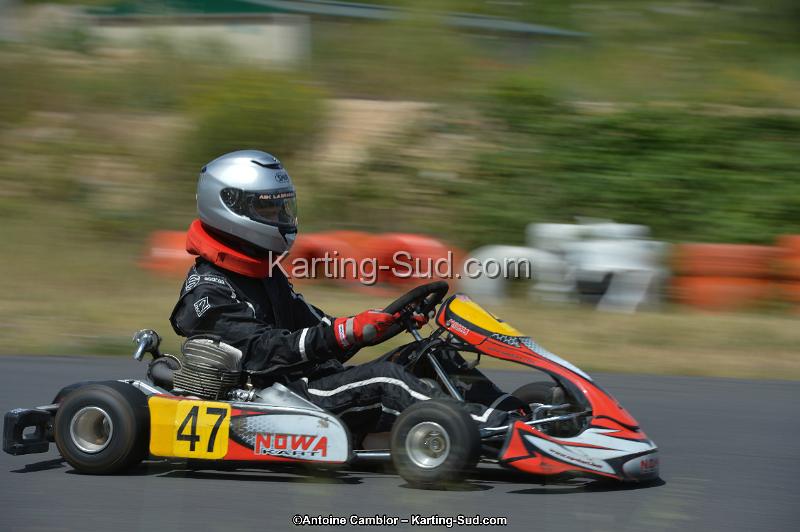 DSC_8890.jpg