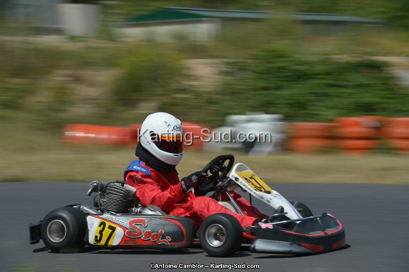 DSC_8892.jpg
