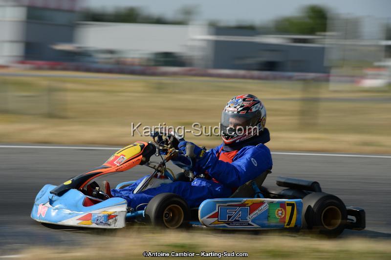 DSC_8483.jpg