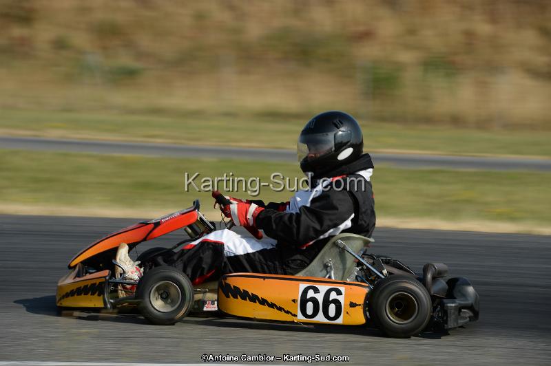 DSC_8509.jpg