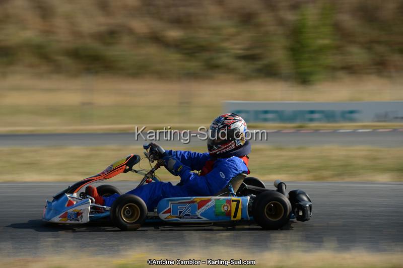 DSC_8511.jpg