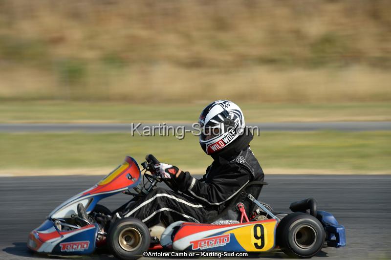 DSC_8515.jpg