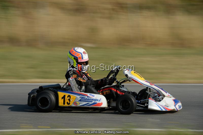 DSC_8521.jpg