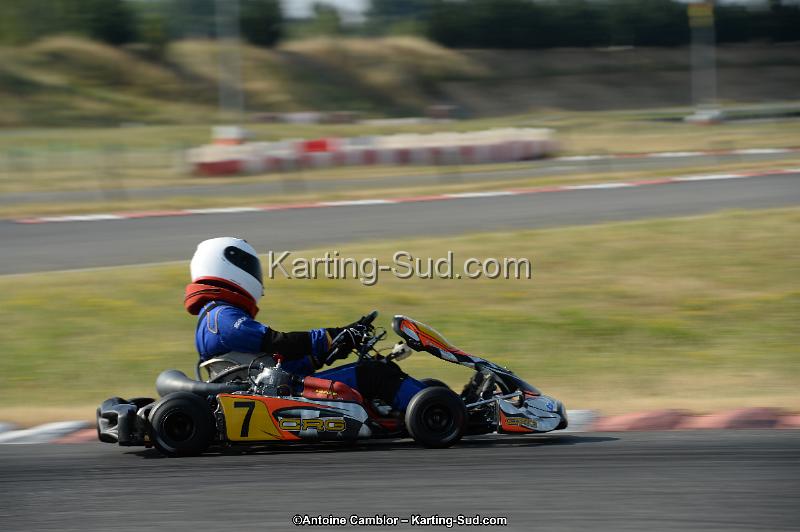 DSC_8534.jpg