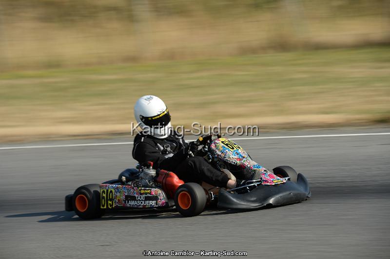DSC_8537.jpg