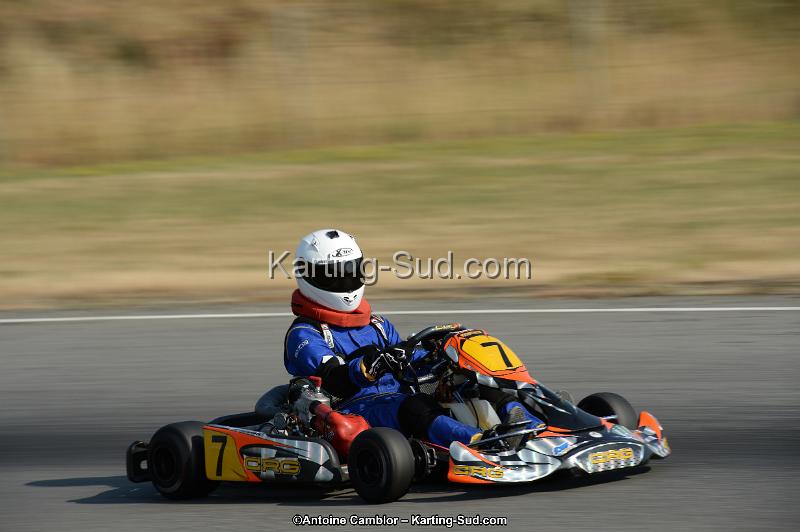 DSC_8539.jpg