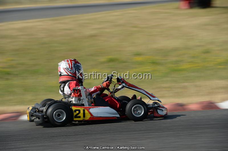 DSC_8548.jpg