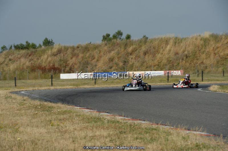 DSC_8560.jpg