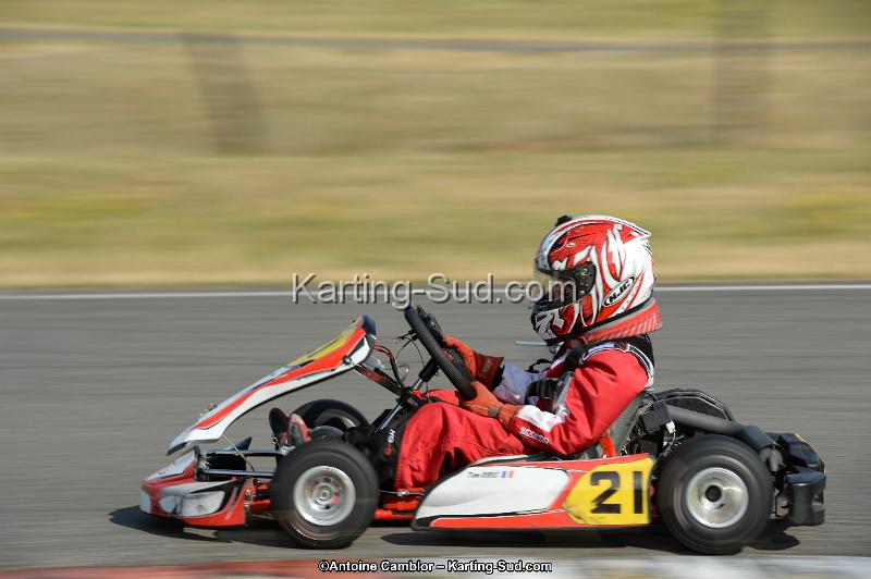 DSC_8574.jpg