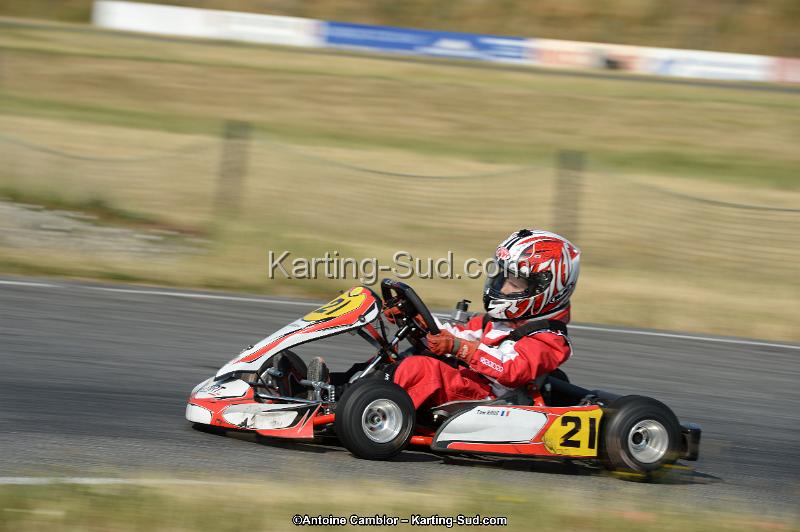 DSC_8592.jpg