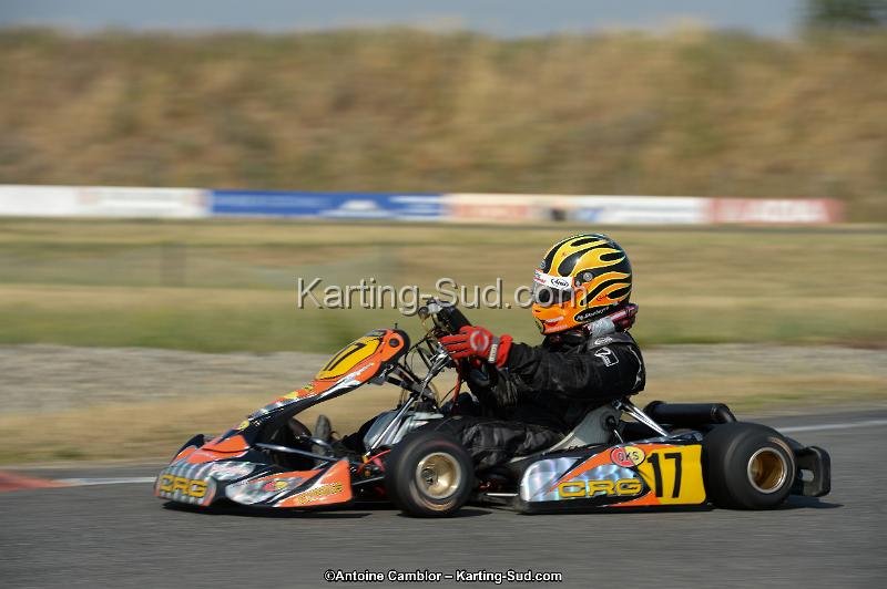DSC_8617.jpg