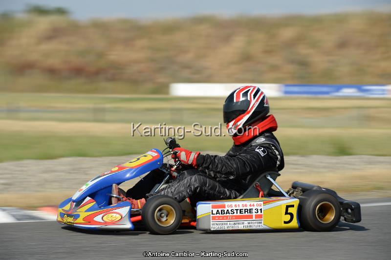 DSC_8618.jpg