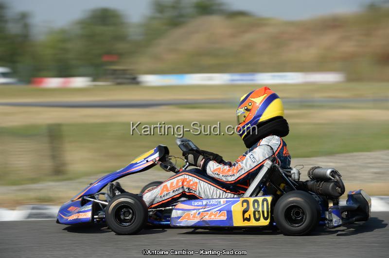 DSC_8622.jpg