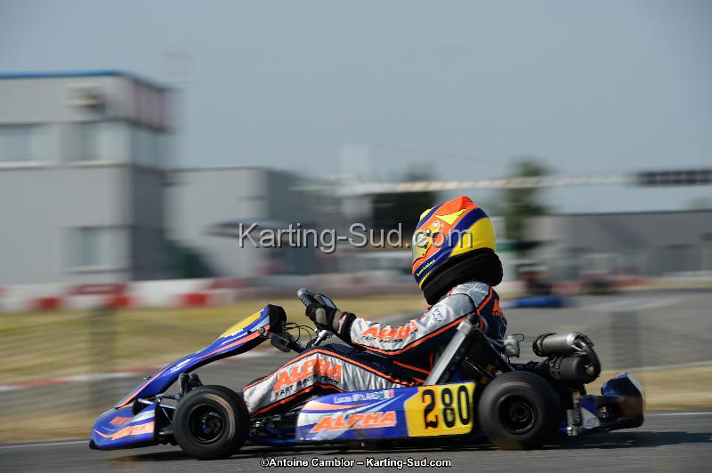 DSC_8631.jpg