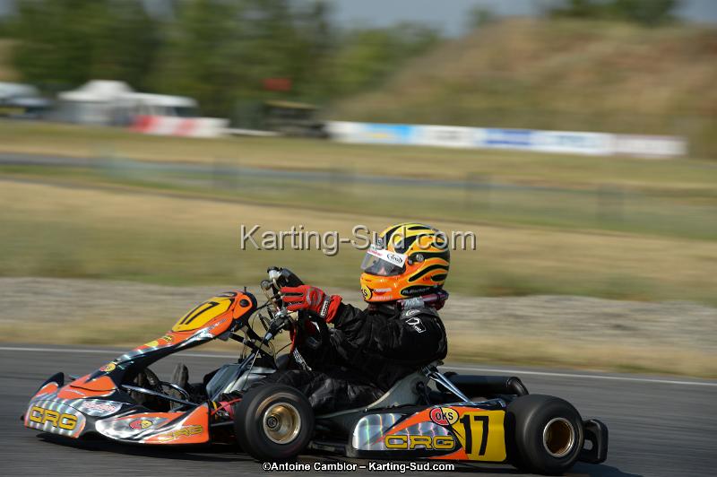 DSC_8647.jpg