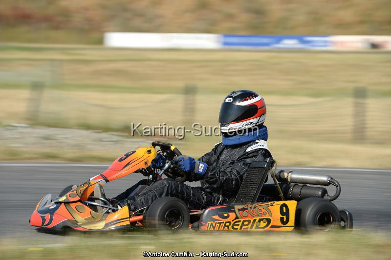 DSC_8648.jpg