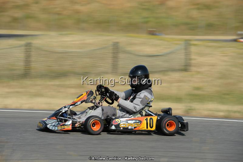 DSC_8649.jpg