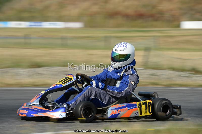 DSC_8654.jpg