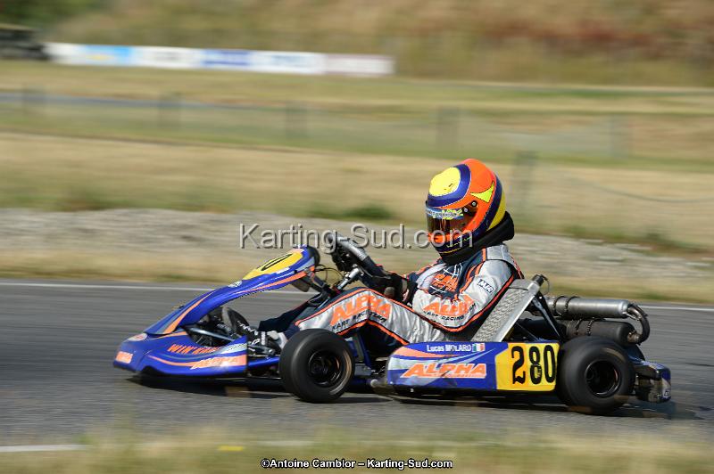 DSC_8665.jpg